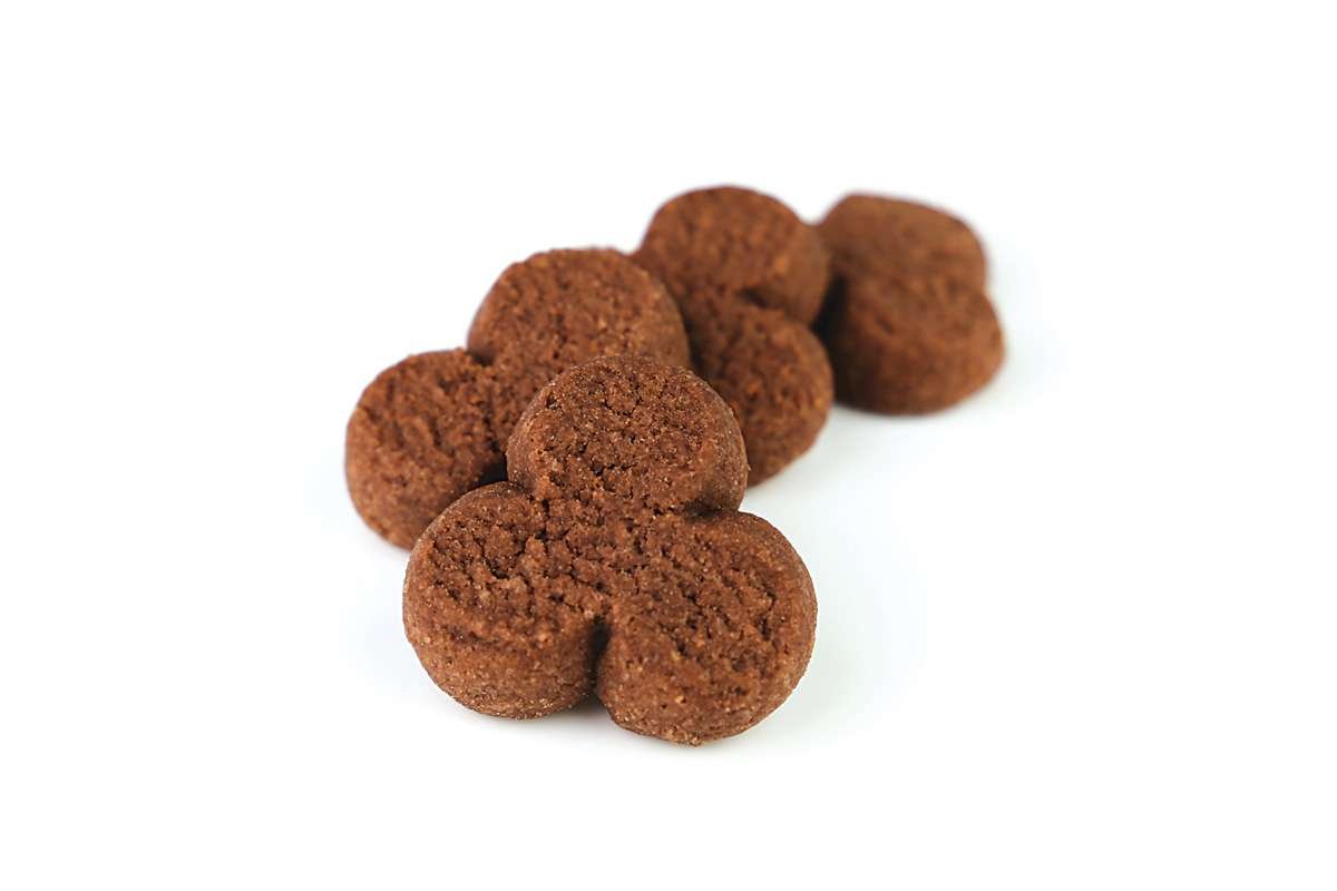 Kakaokleeblatt