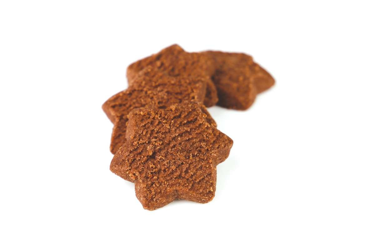 Kakaosterne